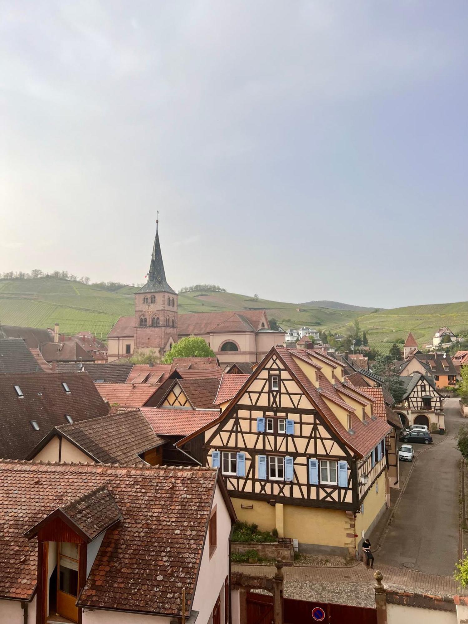 Duplex Au Coeur De Turckheim, 10 Min De Colmar Et Place De Parking 외부 사진